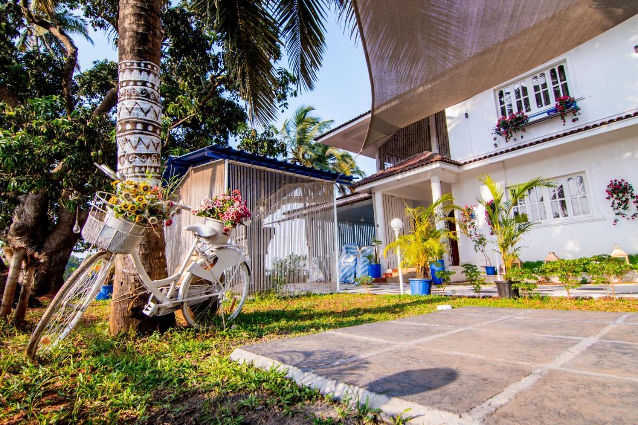 White House In Goa, Truly Amazing Experience Bed and Breakfast Saligao Exteriör bild