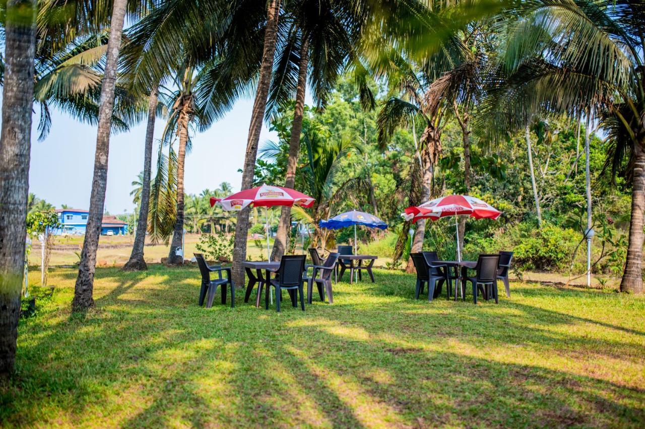 White House In Goa, Truly Amazing Experience Bed and Breakfast Saligao Exteriör bild